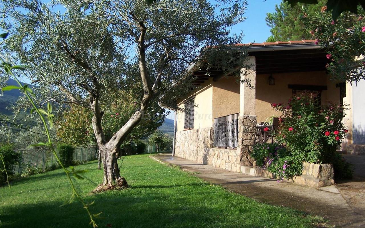 Casa Rural Josefina 1 Y 2 Navaconcejo Exterior foto